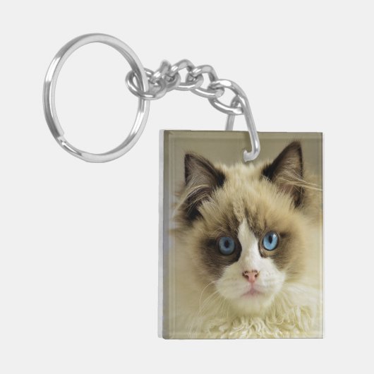 Schöne Ragdoll Katze mit blauen Augen Schlüsselanhänger (Vorderseite links)