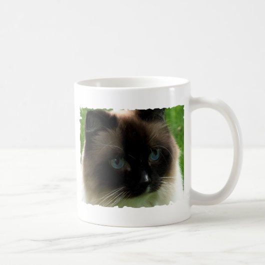 Schöne Ragdoll Katzen-Tasse Kaffeetasse (Rechts)