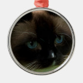 Schöne Ragdoll Katzen-Verzierung Silbernes Ornament (Vorne)