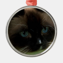 Schöne Ragdoll Katzen-Verzierung Silbernes Ornament