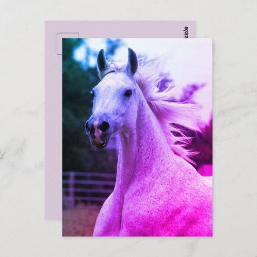 Schöne Rainbow-farbene Arabian Horse Mare Card Postkarte (Vorne/Hinten)