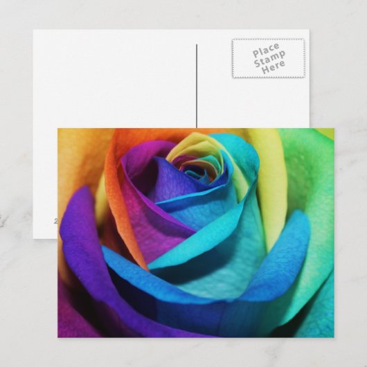 Schöne Rainbow Rose Postkarte (Vorne/Hinten)