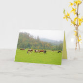 Schöne Ranch, Kühe & Grüne Weide, Landschaft Karte (Gelbe Blume)