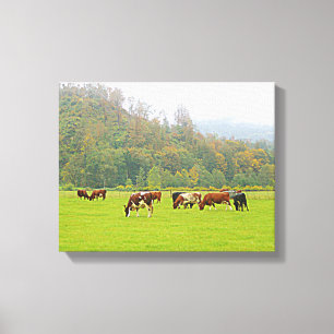 Schöne Ranch, Kühe und grüne Weide, Farm Szene Leinwanddruck