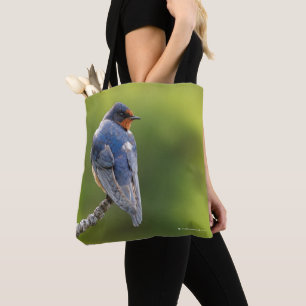 Schöne Rauchschwalbe auf einem Ast Tasche