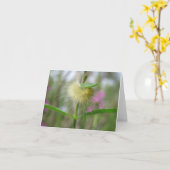 Schöne Raupe - leere Grußkarte Karte (Gelbe Blume)