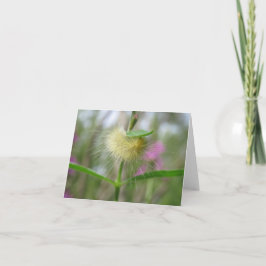 Schöne Raupe - leere Grußkarte Karte