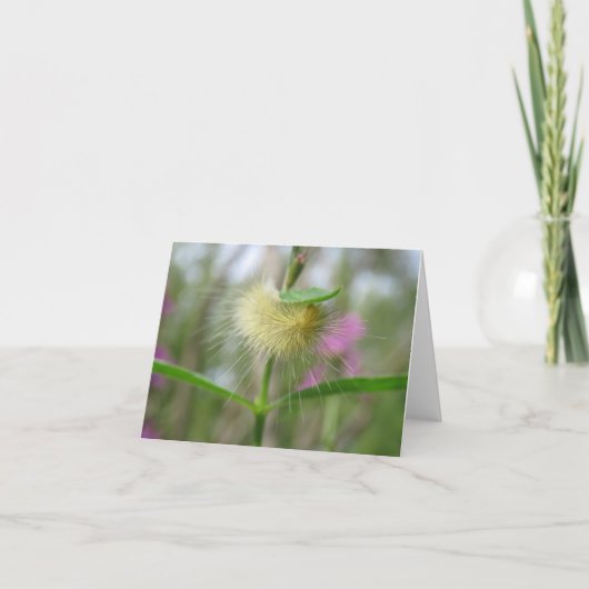 Schöne Raupe - leere Grußkarte Karte (Vorderseite)