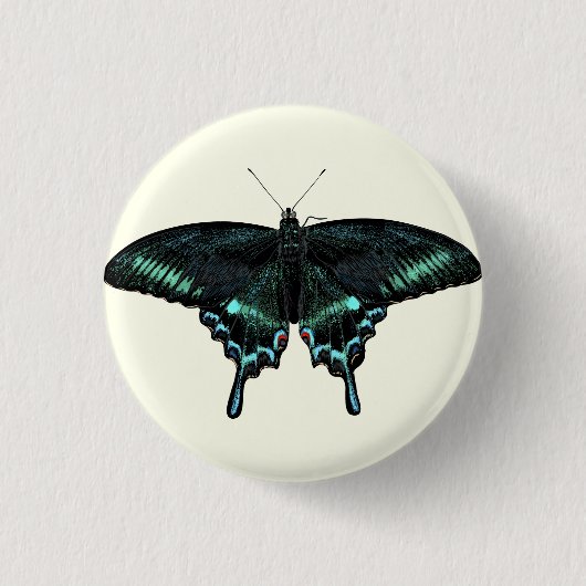 Schöne realistische Schmetterlinge Button (Vorderseite)