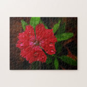 Schöne Red Dianthus Blume mit Raindrops Foto Puzzle (Horizontal)