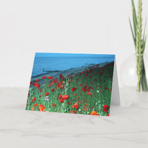 Schöne Red Poppies Southwold Seafront Foto Karte