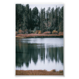 Schöne Reflektionen von Evergreens am See Fotodruck