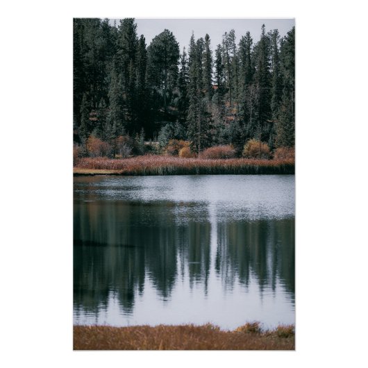 Schöne Reflektionen von Evergreens am See Poster (Vorderseite)