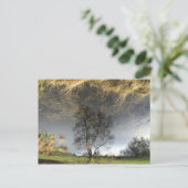 Schöne Reflektionsfotografie Tree Postkarte (Stehend Vorderseite)