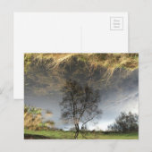Schöne Reflektionsfotografie Tree Postkarte (Vorne/Hinten)