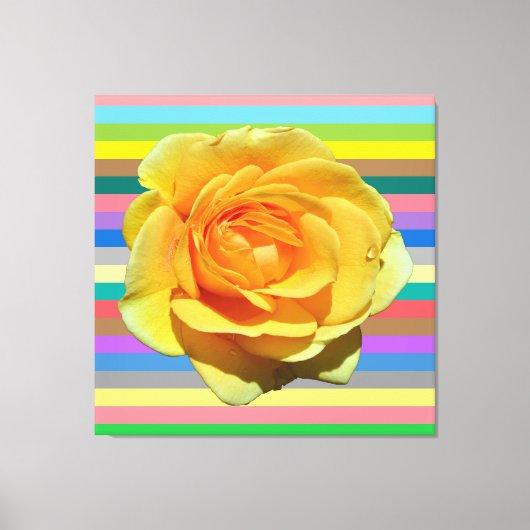 Schöne Regenbogen-Rose Leinwanddruck (Vorderseite)