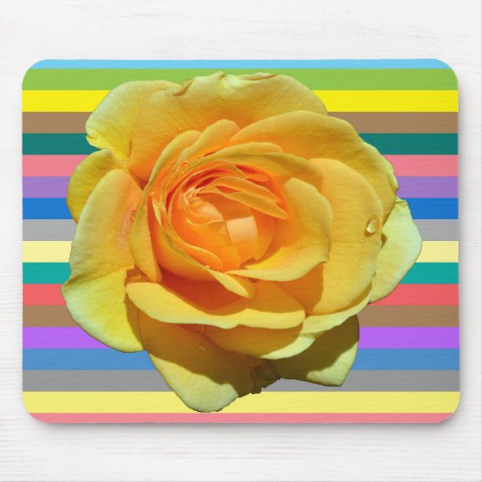 Schöne Regenbogen-Rose Mousepad (Vorne)