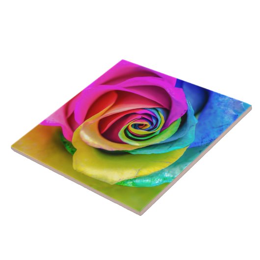 Schöne Regenbogen-Rosen-Keramik-Fliese Fliese (Seite)