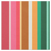 Schöne Regenbogen-Streifen Stoff (Nahaufnahme)