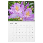 Schöne Rhododendren Kalender (Jan 2027)