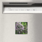Schöne Rhododendren Magnet (In Situ (Geschirrspüler))