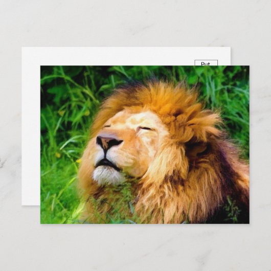 Schöne Riesen-Männchen Lion afrikanische Wildtiere Postkarte (Vorne/Hinten)