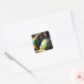 Schöne Riesenwälder Natur Quadratischer Aufkleber (Umschlag)