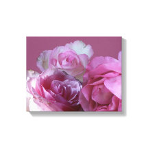 Schöne romantische hübsche Rosenstrahlen