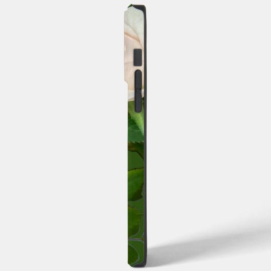 Schöne romantische Rosen in weißem Rosa Case-Mate iPhone Hülle (Rückseite / Links)