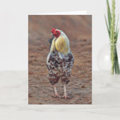 Schöne Rooster Chicken Art Note Card Karte (Vorderseite)