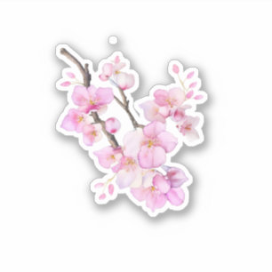 Schöne Rosa Aquarellkirsche Sakura Blüten Aufkleber