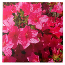 Schöne rosa Azalea Blume Tiles Fliese