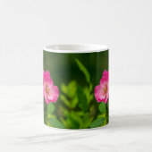Schöne rosa Blume-6845 Kaffeetasse (Mittel)