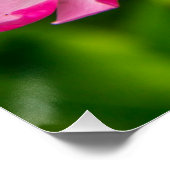 Schöne rosa Blume-6845 Poster (Ecke)