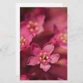 Schöne rosa Blume Briefpapier (Vorne/Hinten)