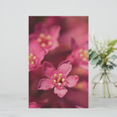 Schöne rosa Blume Briefpapier (Stehend Vorderseite)