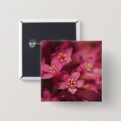 Schöne rosa Blume Button (Vorne & Hinten)