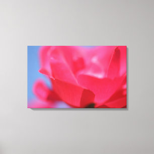 Schöne rosa Blume Canvas Print Leinwanddruck