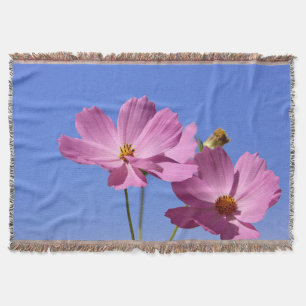 schöne rosa Blume, die einen klaren, blauen Himmel Decke