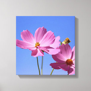 schöne rosa Blume, die einen klaren, blauen Himmel Leinwanddruck