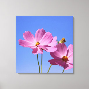 schöne rosa Blume, die einen klaren, blauen Himmel Leinwanddruck