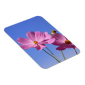 schöne rosa Blume, die einen klaren, blauen Himmel Magnet (Rechte Seite)