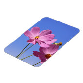 schöne rosa Blume, die einen klaren, blauen Himmel Magnet (Linke Seite)