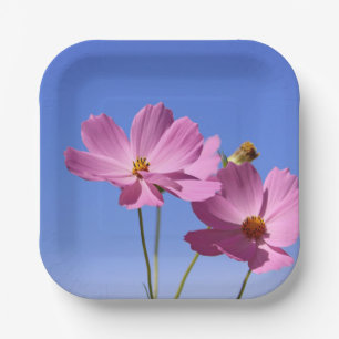 schöne rosa Blume, die einen klaren, blauen Himmel Pappteller