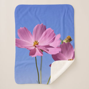 schöne rosa Blume, die einen klaren, blauen Himmel Sherpadecke