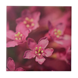 Schöne rosa Blume Fliese