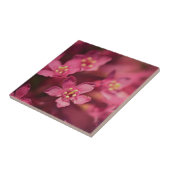 Schöne rosa Blume Fliese (Seite)