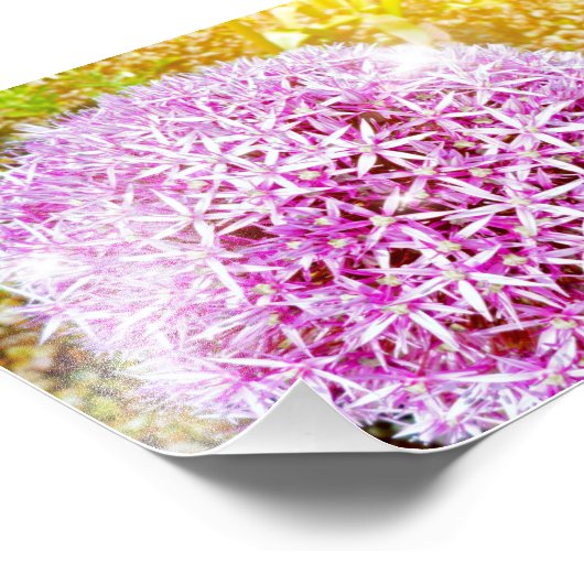 Schöne rosa Blume Fotodruck (Ecke)