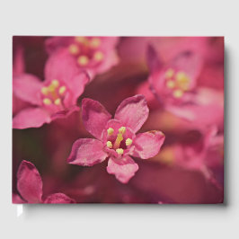 Schöne rosa Blume Gästebuch