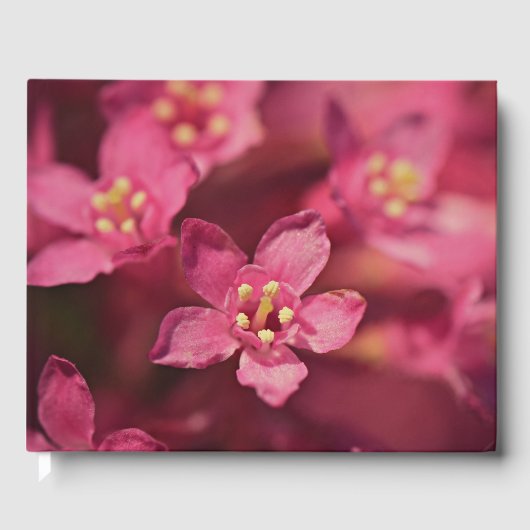 Schöne rosa Blume Gästebuch (Vorderseite)